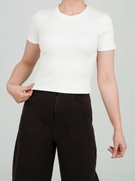 تیشرت سپیده رنگ مشکی کرم طوسی سفید سبز 